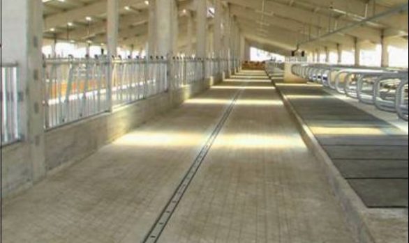 modern ahır yapan firmalar