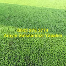 2 omurgalı halı saha sahası mono floment