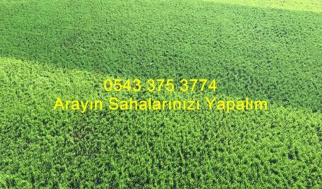 2 omurgalı halı saha sahası mono floment