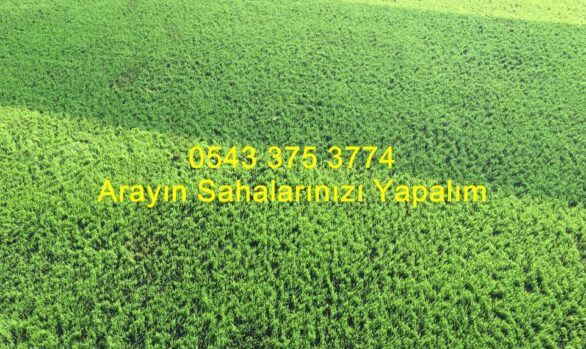 2 omurgalı halı saha sahası mono floment