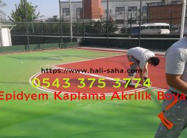 Epidyem Kaplama Akrilik Boya